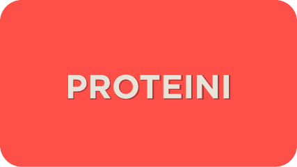 shop protein supplements